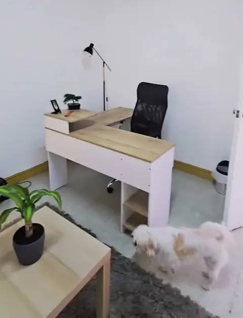 Consultorio Armonía con escritorio blanco y planta