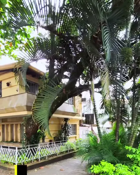 Fachada amarilla de Casa Nur entre árboles